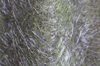 Fairbourne Heath fibreglass roof work